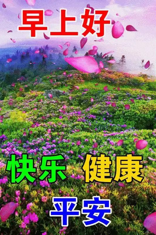 美丽早上好问候祝福动态表情图片,早晨好温馨暖心日常问候语表情包大全