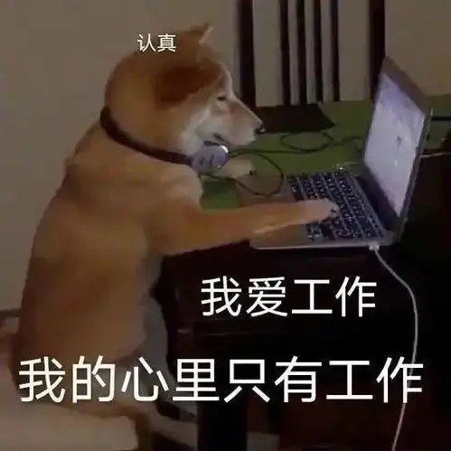 4.17表情包丨你生气了吗太好了