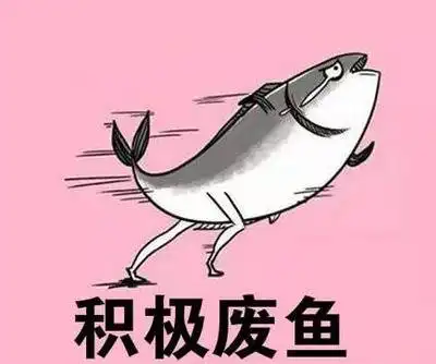 哈哈...社会学被黑最惨的一次,刘强东学社会学女朋友都找不到