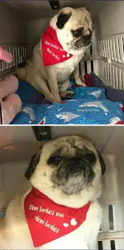 每日囧图2月9日有这样的酒局请叫上我
