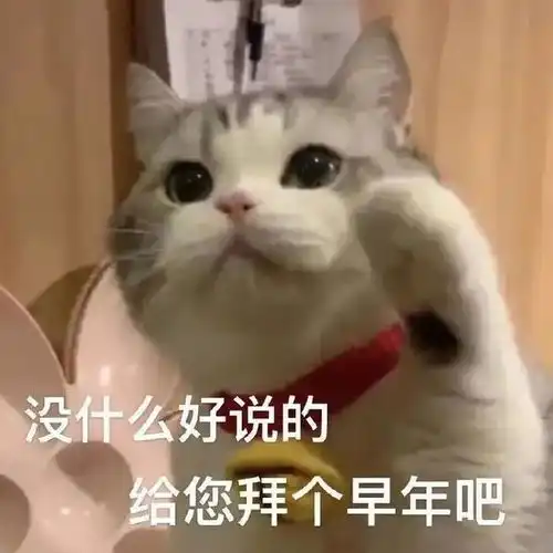 就你妈斜门没门第240期喵表情