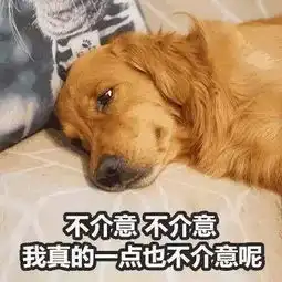 微信动图表情包搞笑金毛