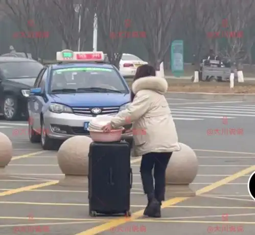 重庆某高校一女生真爷们3包中药共用盆喝,评论区各说各的