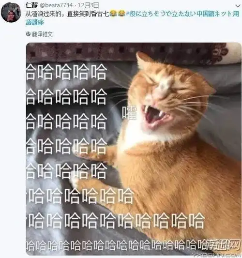 为传播汉语的博大精深网友把沙雕表情包翻译成了日文