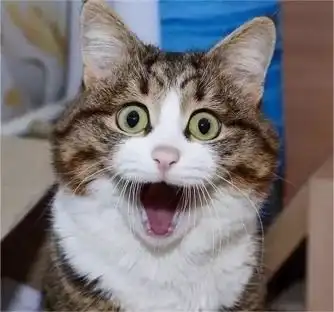 这部开场高能的四月新番,让人完全措不及防