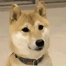 注意又一个大台风蓄势待发桑拿天强势来袭,未来几天厦门将...