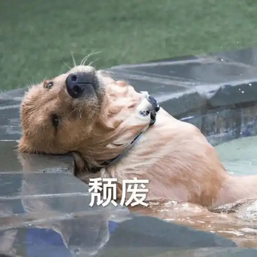 公司年会有多折磨人我第一次看到这么绝望的表演