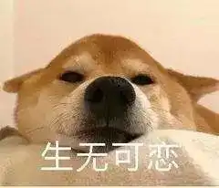 认识到同居只用了3集,开年最甜国产剧,观众直呼少女心炸裂