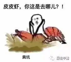 皮皮虾,我们走是个什么鬼