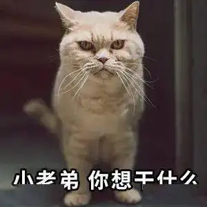 表情包动图看见你就烦表情包