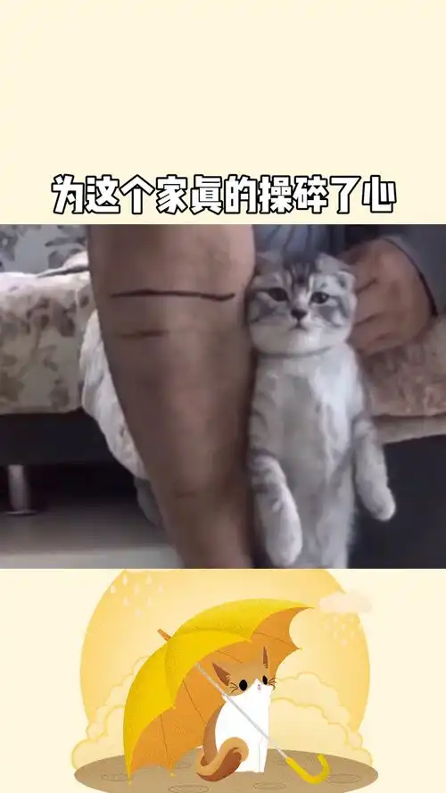 我为这个家真的操碎了心