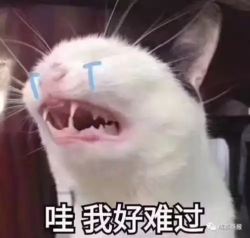 听说成都下雪了朋友圈激动得惊叫唤,然而一二三四环毫无实锤