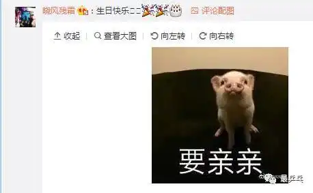我只想发财表情包生日快
