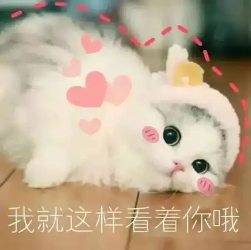 脱单秘籍第二弹双十一不仅要买买买,还要脱单啊喂