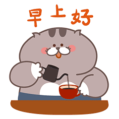 开心猫的大表弟呆咪1来啦