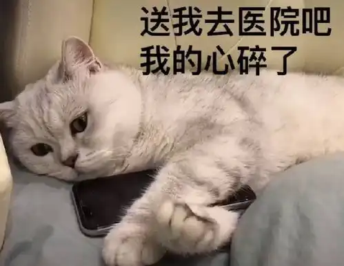 悲伤这么大表情包姓氏