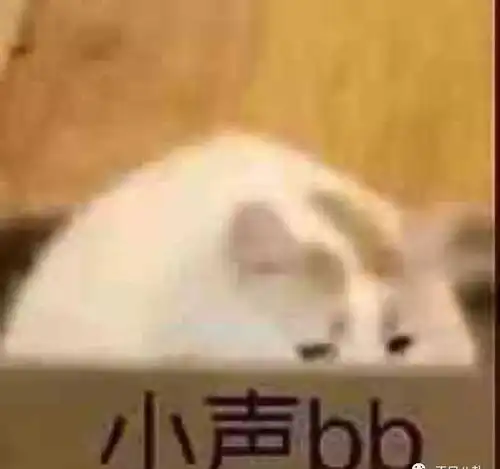 肾亏表情包小声