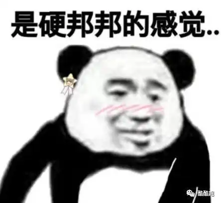 熊猫头表情包搞笑视频奇