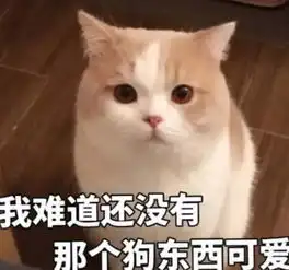 撩汉表情包来袭,学会使用,钢铁直男都能被掰弯