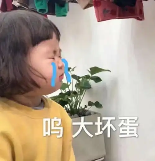 大威天龙表情包图片罗熙
