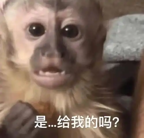 表情包无惊无险又到五点拿图点赞吱声