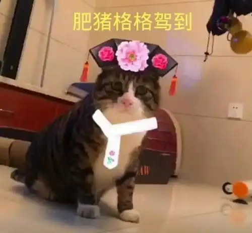 表情包想你想你,脑袋里都是你