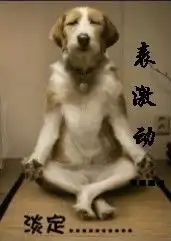 qq表情搞笑qq表情动物图片表激动,淡定