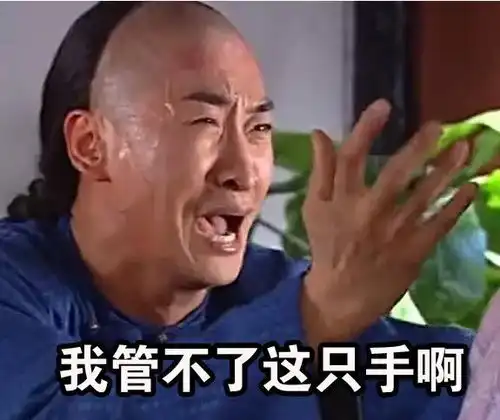 双11的你哈哈哈太过于真实了