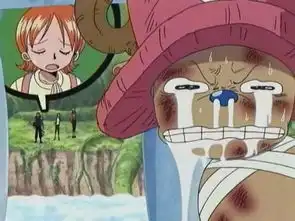 求以下表情在海贼王里的截图