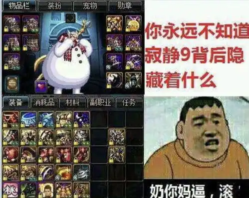 地下城与勇士宁愿不要奶也不要没称号的奶,寂静9除外