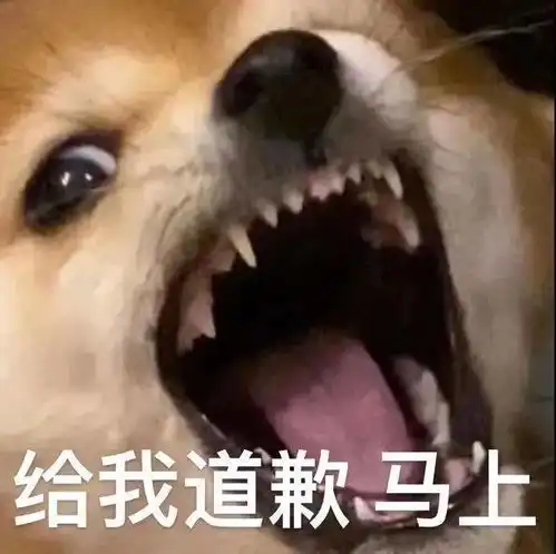 100张又甜又污让男友看完受不了的表情包,太撩