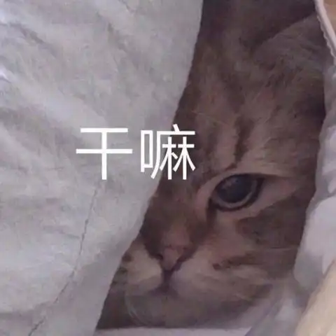 搞笑表情包我说话很直接,你的有毛病,我不会撤回