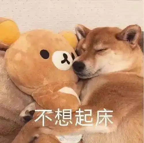 郊游表情包赖床