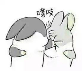 男子竟和充气娃娃结婚,他妈当证婚人