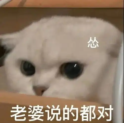 来吧做一些大胆的事情第238期喵表情