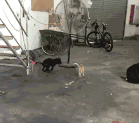 表情包我不是要你的钱,而是用你的钱办你的事