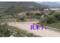 搞笑动态大全表情包段子