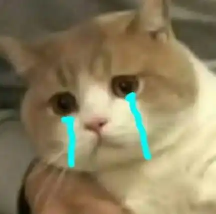 无水印萌宠卖萌专用表情包被生活压秃了脑阔