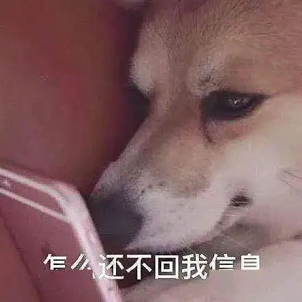 六月刊管理聊天管理社交的第一步