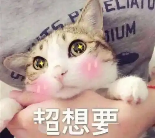 电视台招新啦确认过眼神你就是对的人