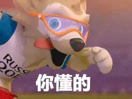 世界杯倒计时真wei球迷观战指南