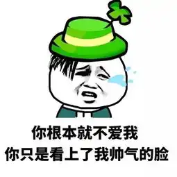 搞笑表情包你根本就不爱我,你只是看上了我的表情包