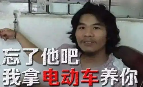 打工不可能的表情包魏仙