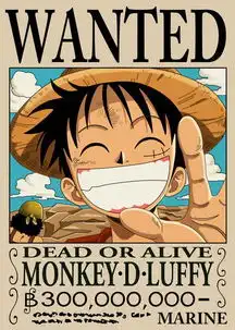 海贼王最新人物资料加图片