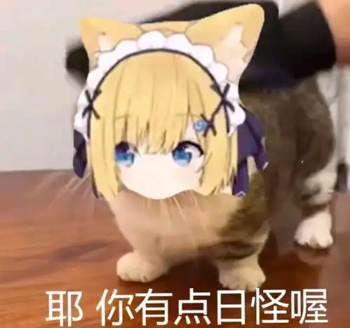 从网络上淘来的沙雕表情包第84弹