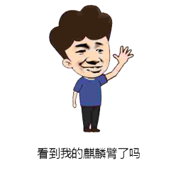 看到我的麒麟臂了吗傻逗斗图表情