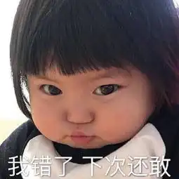 熊qq表情包我错了