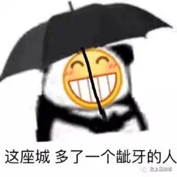 网友吐槽买过最沙雕的东西我差点笑死在屏幕前...