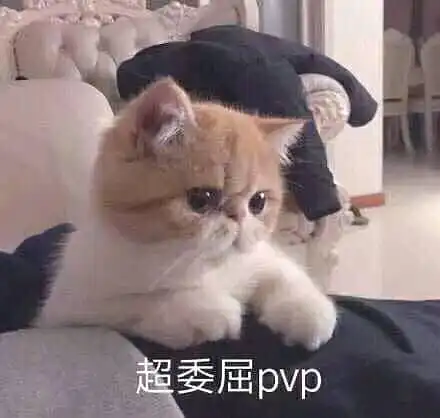 搞笑微信表情包猫咪表情