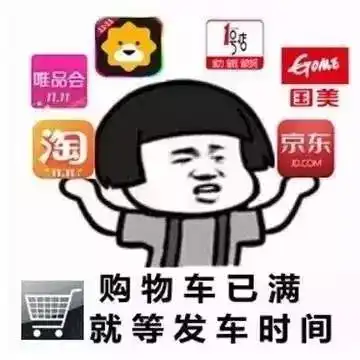 剁手党,双十一推文请你下单